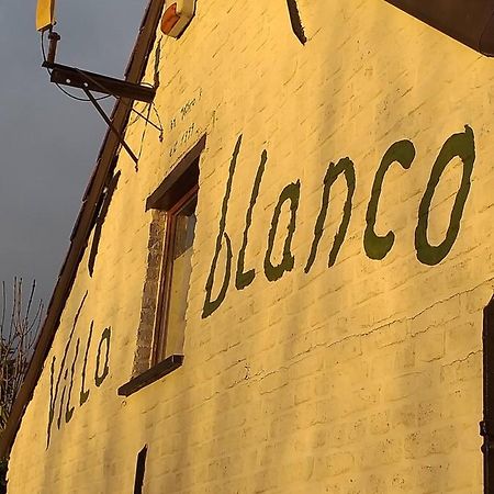 Villa Blanco Opwijk Exterior foto